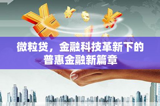 西华微粒贷，金融科技革新下的普惠金融新篇章