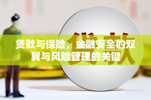 西华贷款与保险，金融安全的双翼与风险管理的关键