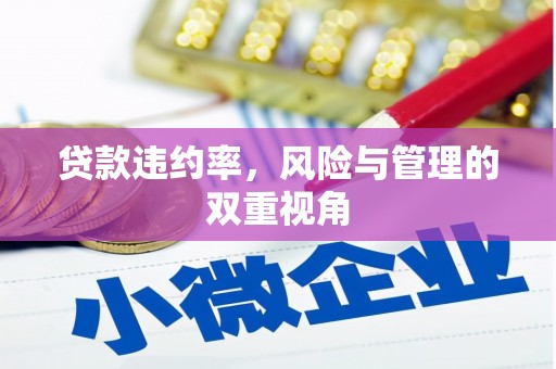 西华贷款违约率，风险与管理的双重视角