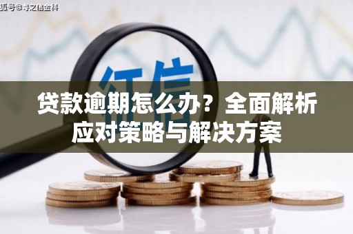 西华贷款逾期怎么办？全面解析应对策略与解决方案
