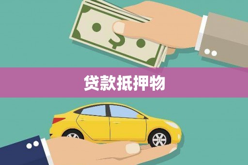 西华贷款抵押物
