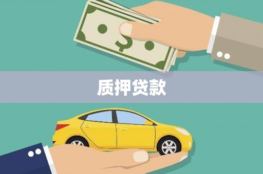 西华质押贷款