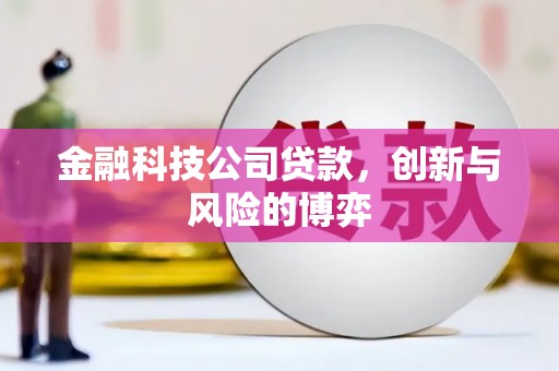 西华金融科技公司贷款，创新与风险的博弈