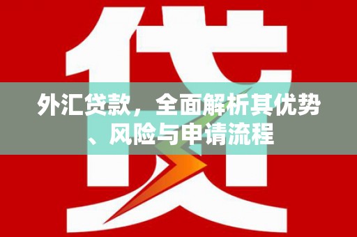 西华外汇贷款，全面解析其优势、风险与申请流程