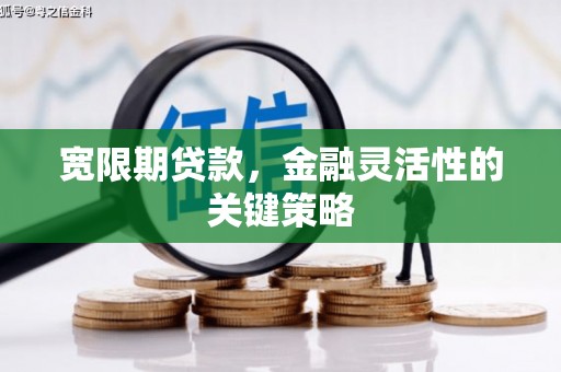 西华宽限期贷款，金融灵活性的关键策略
