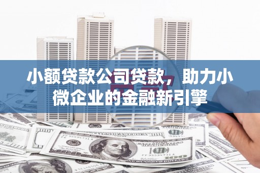 西华小额贷款公司贷款，助力小微企业的金融新引擎