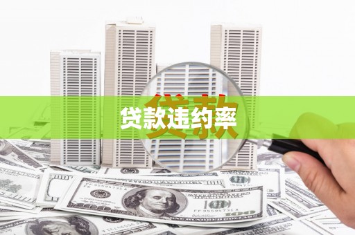 西华贷款违约率