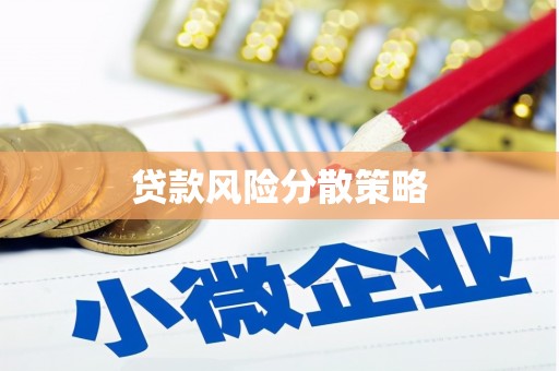 西华贷款风险分散策略