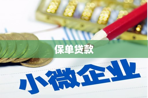 西华保单贷款