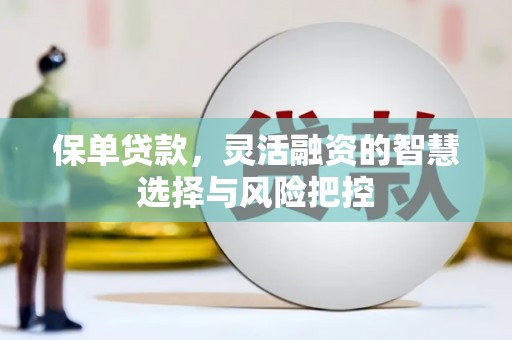 西华保单贷款，灵活融资的智慧选择与风险把控