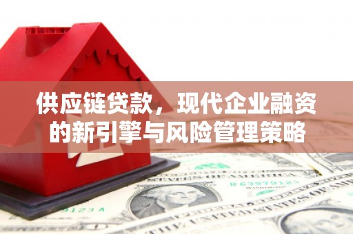 西华供应链贷款，现代企业融资的新引擎与风险管理策略