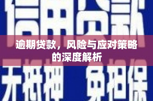 西华逾期贷款，风险与应对策略的深度解析