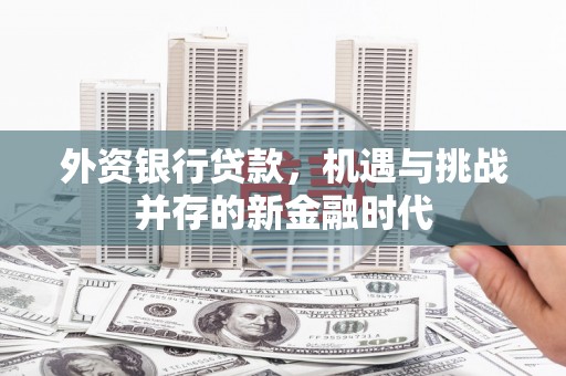 西华外资银行贷款，机遇与挑战并存的新金融时代