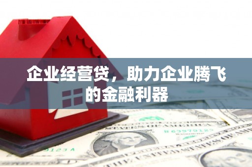 西华企业经营贷，助力企业腾飞的金融利器