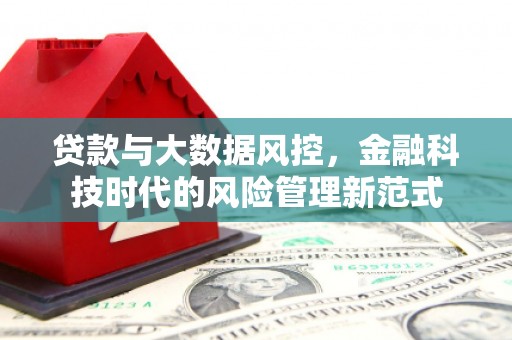 西华贷款与大数据风控，金融科技时代的风险管理新范式