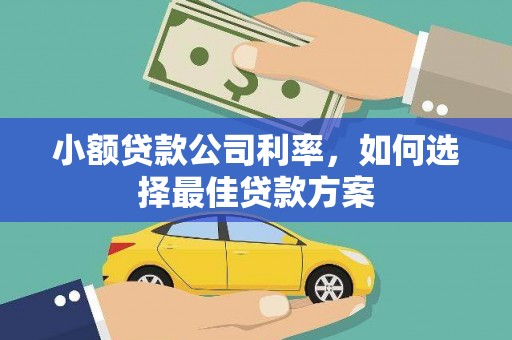 西华小额贷款公司利率，如何选择最佳贷款方案