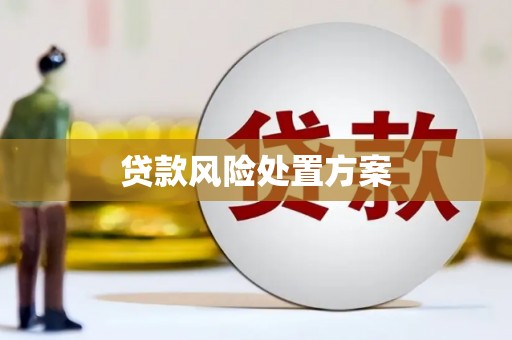 西华贷款风险处置方案