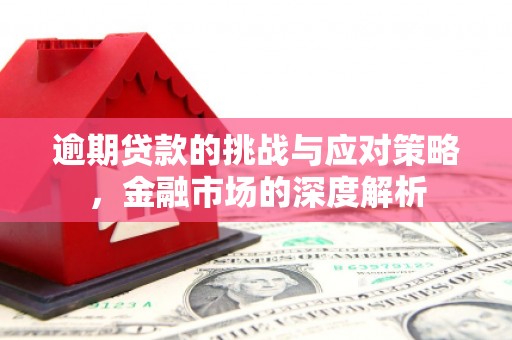 西华逾期贷款的挑战与应对策略，金融市场的深度解析