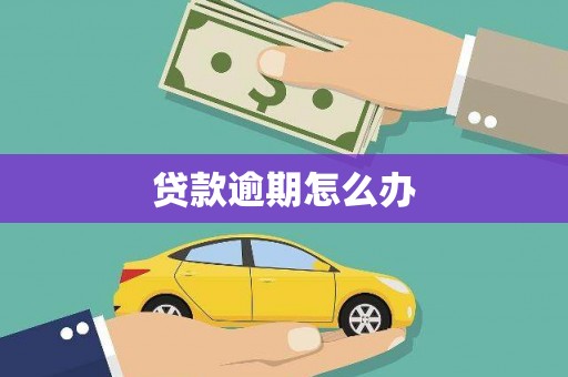 西华贷款逾期怎么办