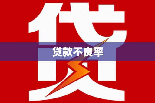 西华贷款不良率