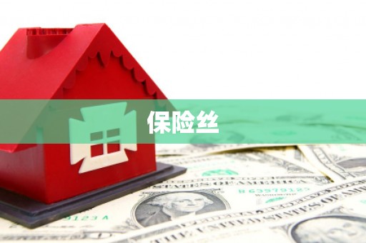 西华保险丝