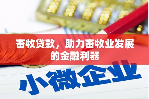 西华畜牧贷款，助力畜牧业发展的金融利器