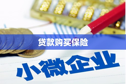 西华贷款购买保险