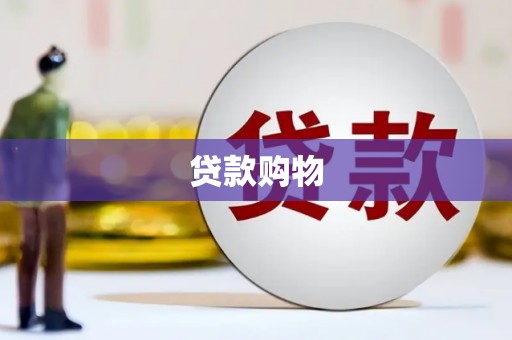 西华贷款购物