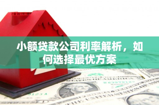 西华小额贷款公司利率解析，如何选择最优方案