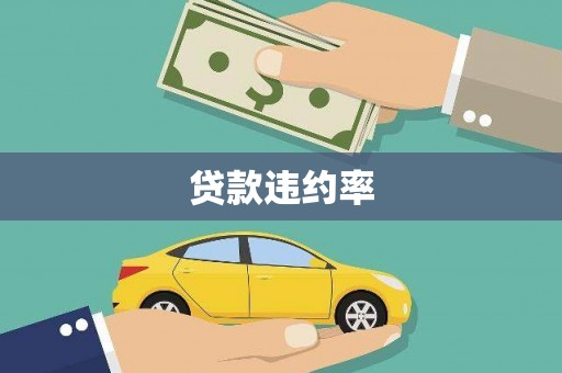 西华贷款违约率