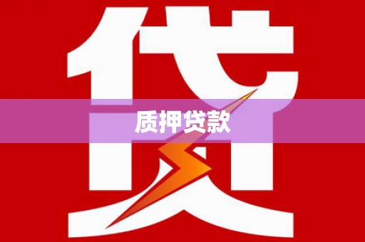 西华质押贷款