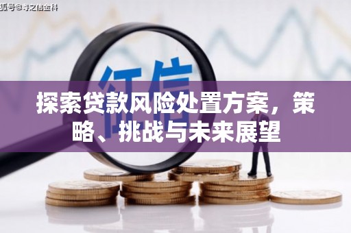 西华探索贷款风险处置方案，策略、挑战与未来展望
