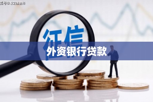 西华外资银行贷款