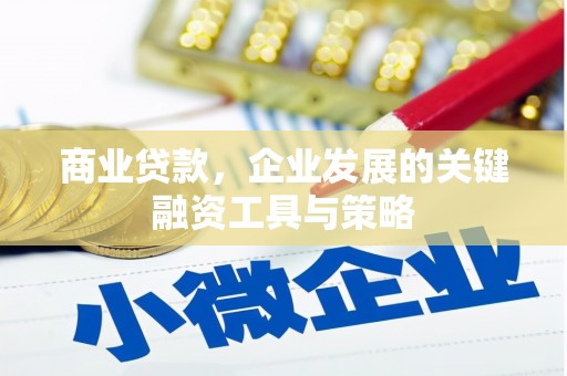 西华商业贷款，企业发展的关键融资工具与策略