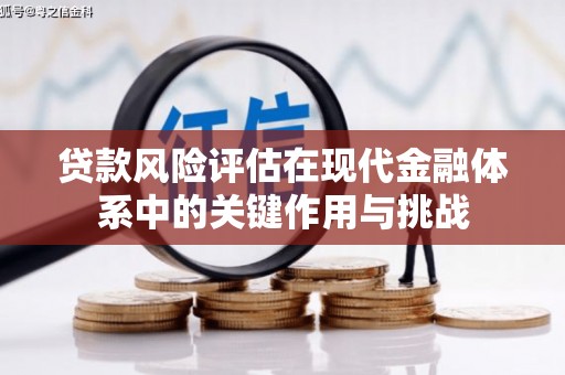 西华贷款风险评估在现代金融体系中的关键作用与挑战