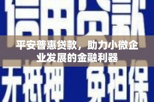 西华平安普惠贷款，助力小微企业发展的金融利器