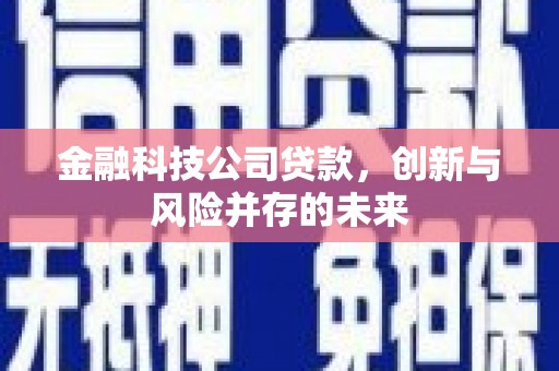 西华金融科技公司贷款，创新与风险并存的未来