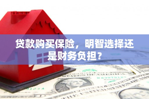西华贷款购买保险，明智选择还是财务负担？
