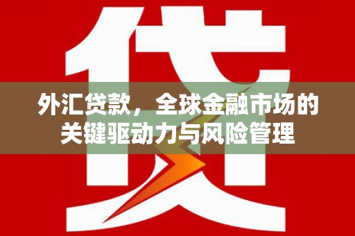 西华外汇贷款，全球金融市场的关键驱动力与风险管理