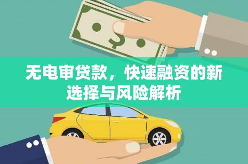 西华无电审贷款，快速融资的新选择与风险解析