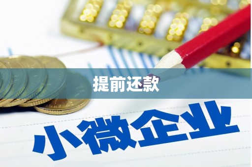 西华提前还款