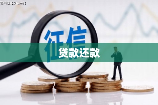 西华贷款还款