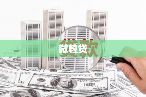 西华微粒贷
