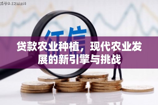 西华贷款农业种植，现代农业发展的新引擎与挑战