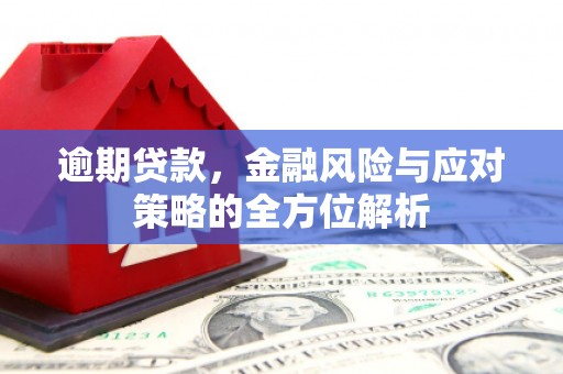西华逾期贷款，金融风险与应对策略的全方位解析