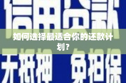 西华如何选择最适合你的还款计划？