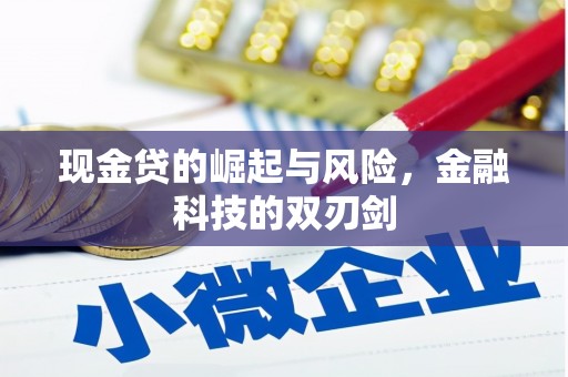 西华现金贷的崛起与风险，金融科技的双刃剑