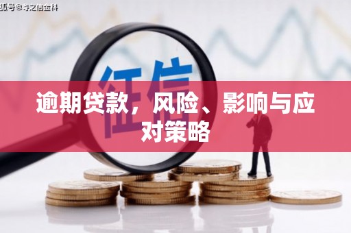 西华逾期贷款，风险、影响与应对策略