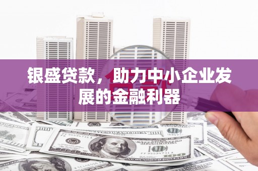 西华银盛贷款，助力中小企业发展的金融利器