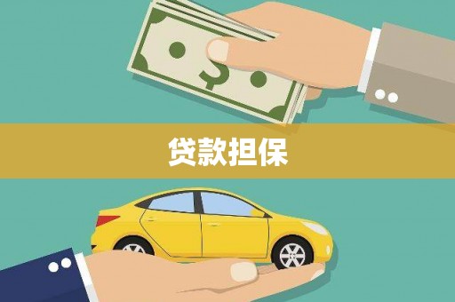 西华贷款担保